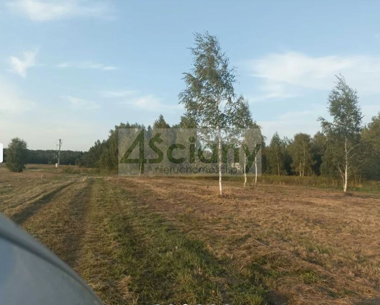 Zdjęcie 2