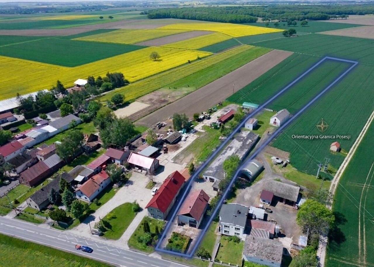 Zdjęcie 6