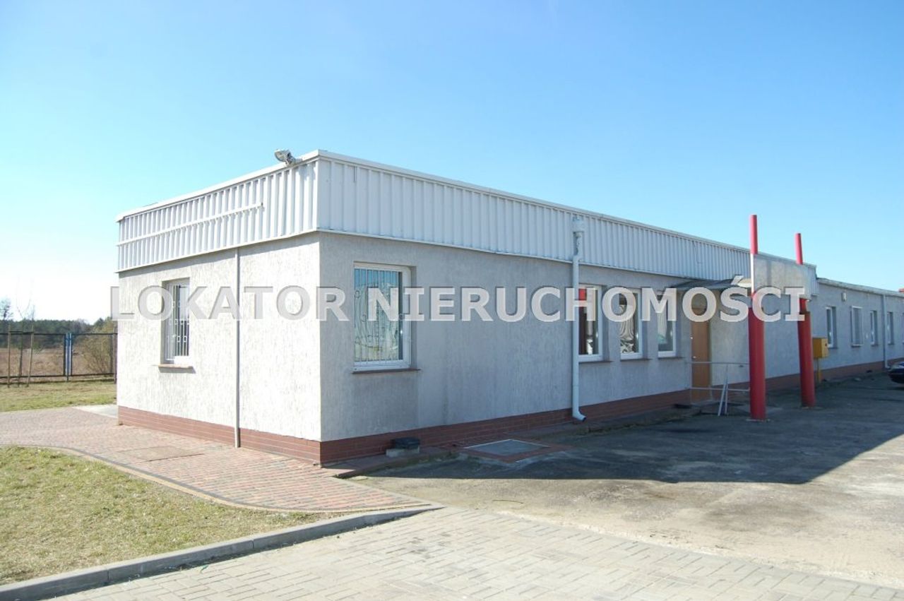 Lokal Komercyjny na wynajem, Piła