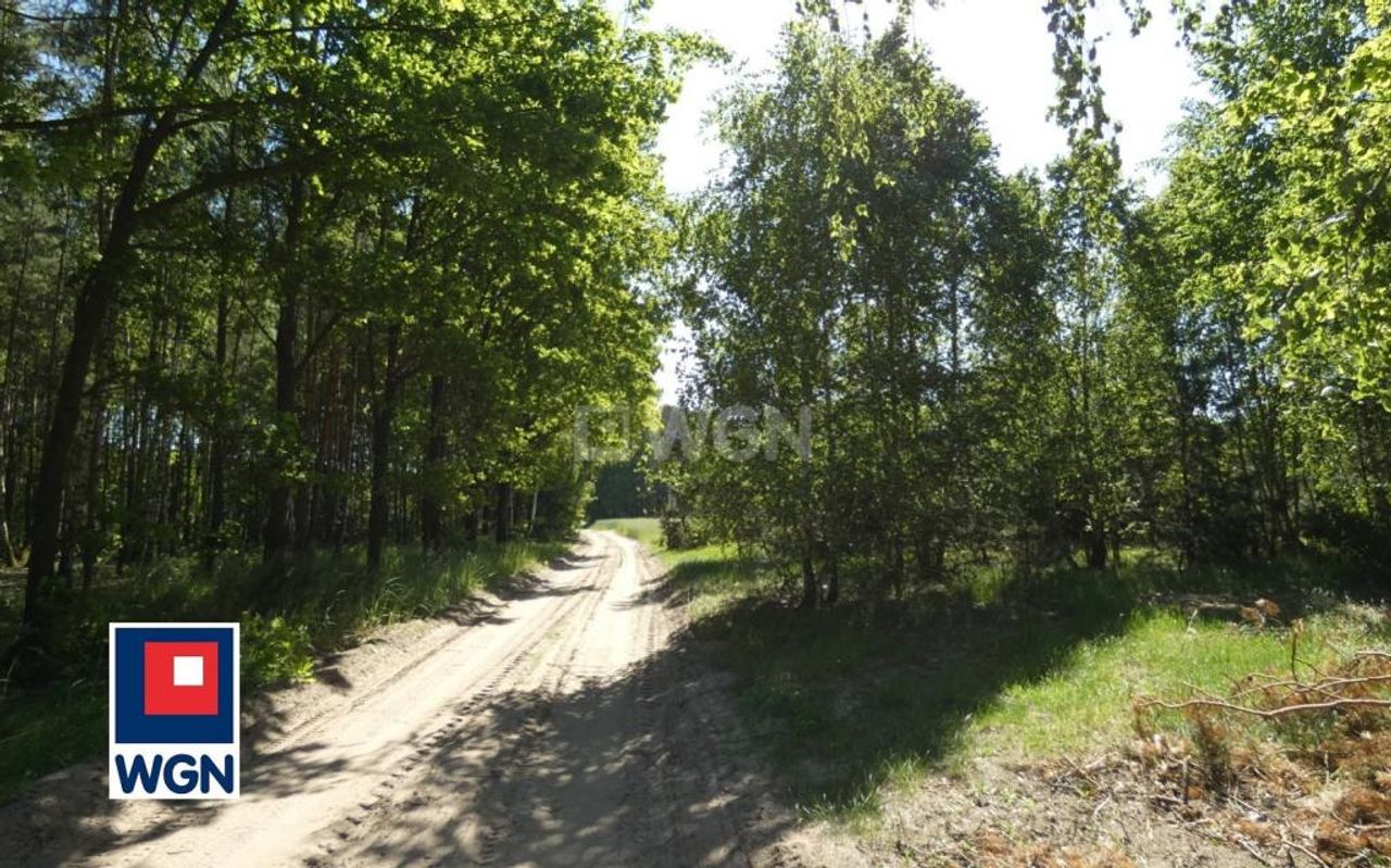 Zdjęcie 8