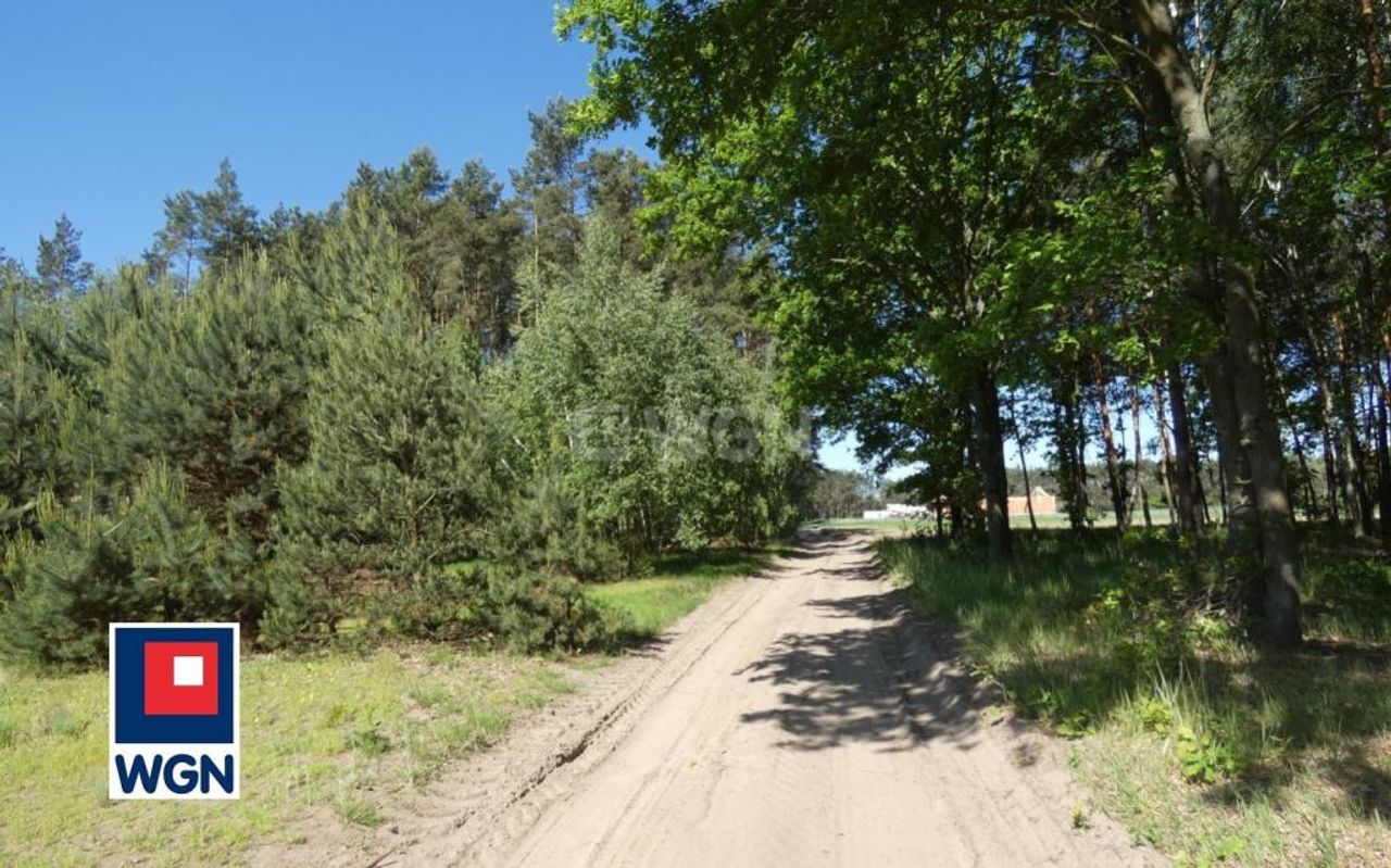 Zdjęcie 3
