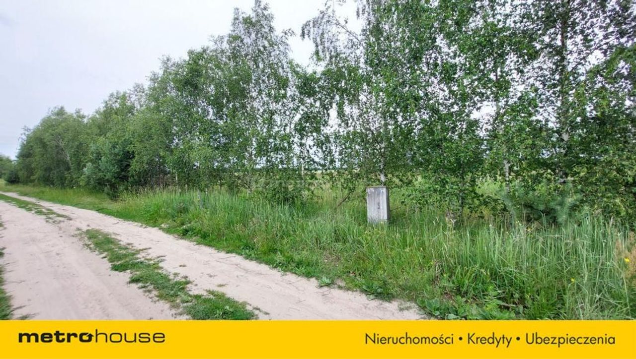 Zdjęcie 3