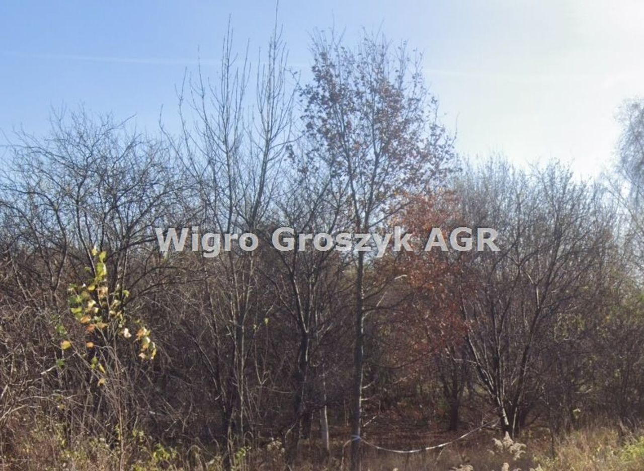 Działka na sprzedaż, Krupia Wólka