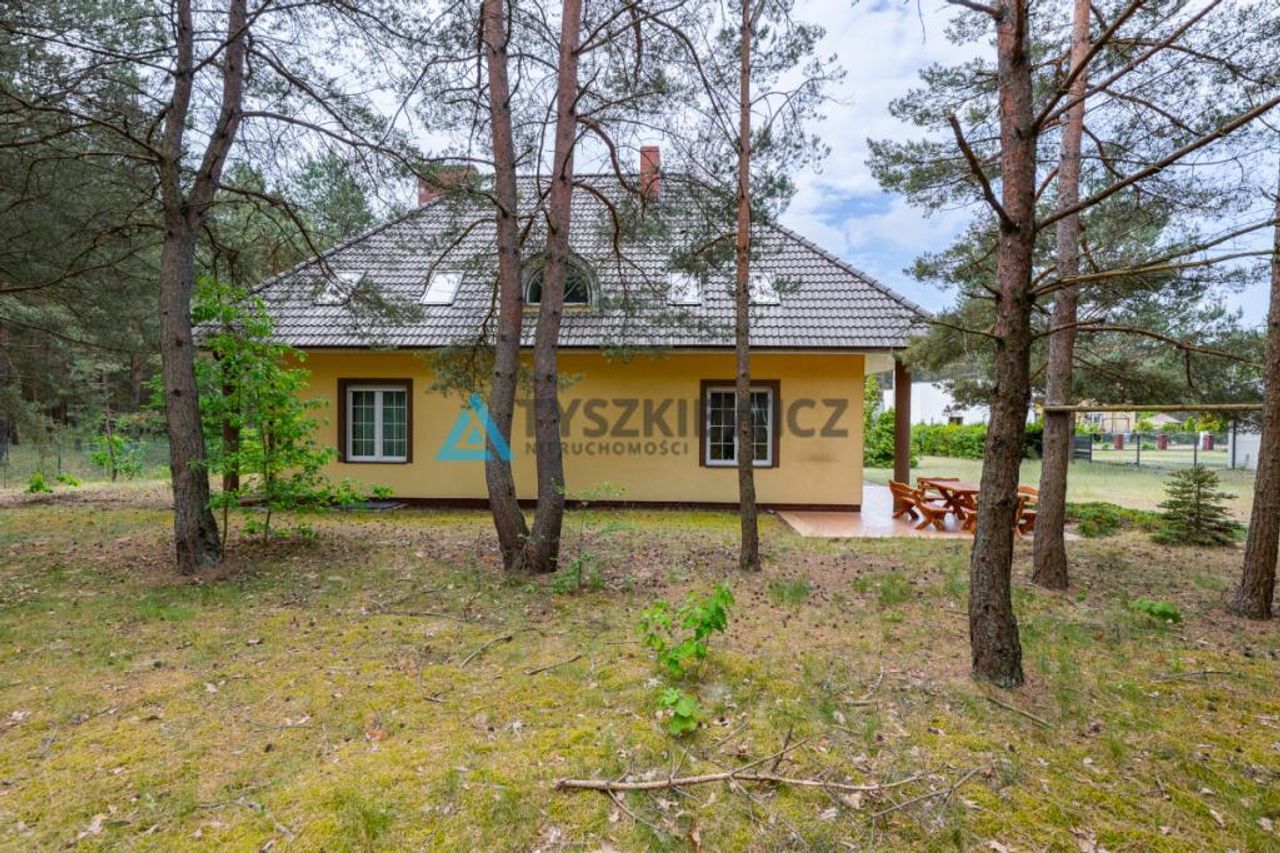 Zdjęcie 6