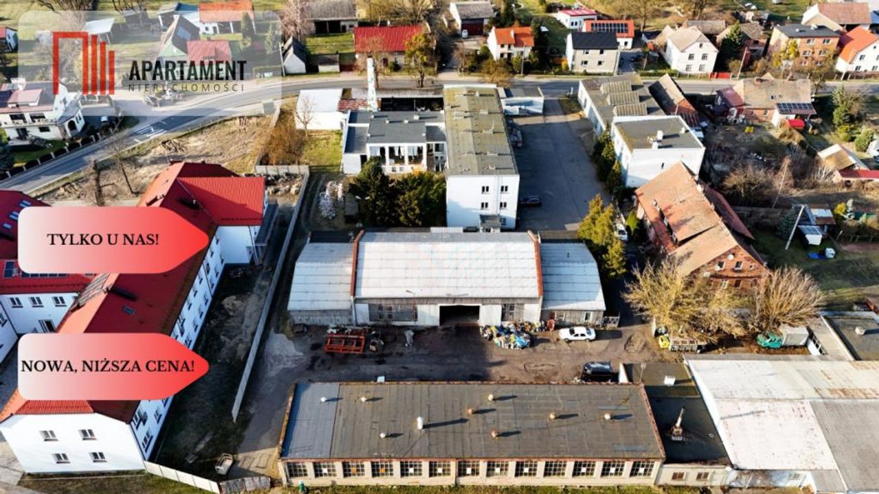 Zdjęcie 6