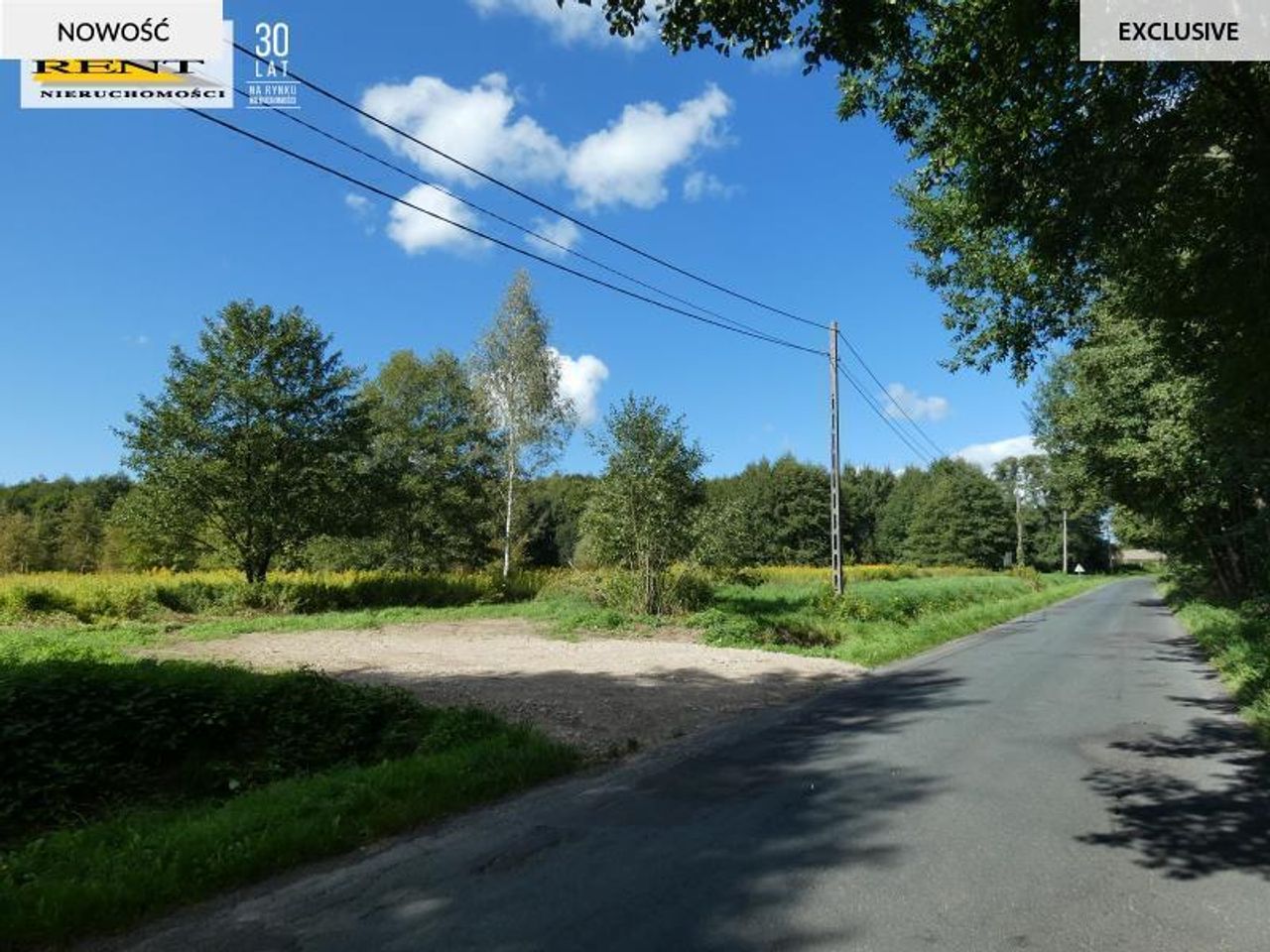 Działka na sprzedaż, Łoźnica