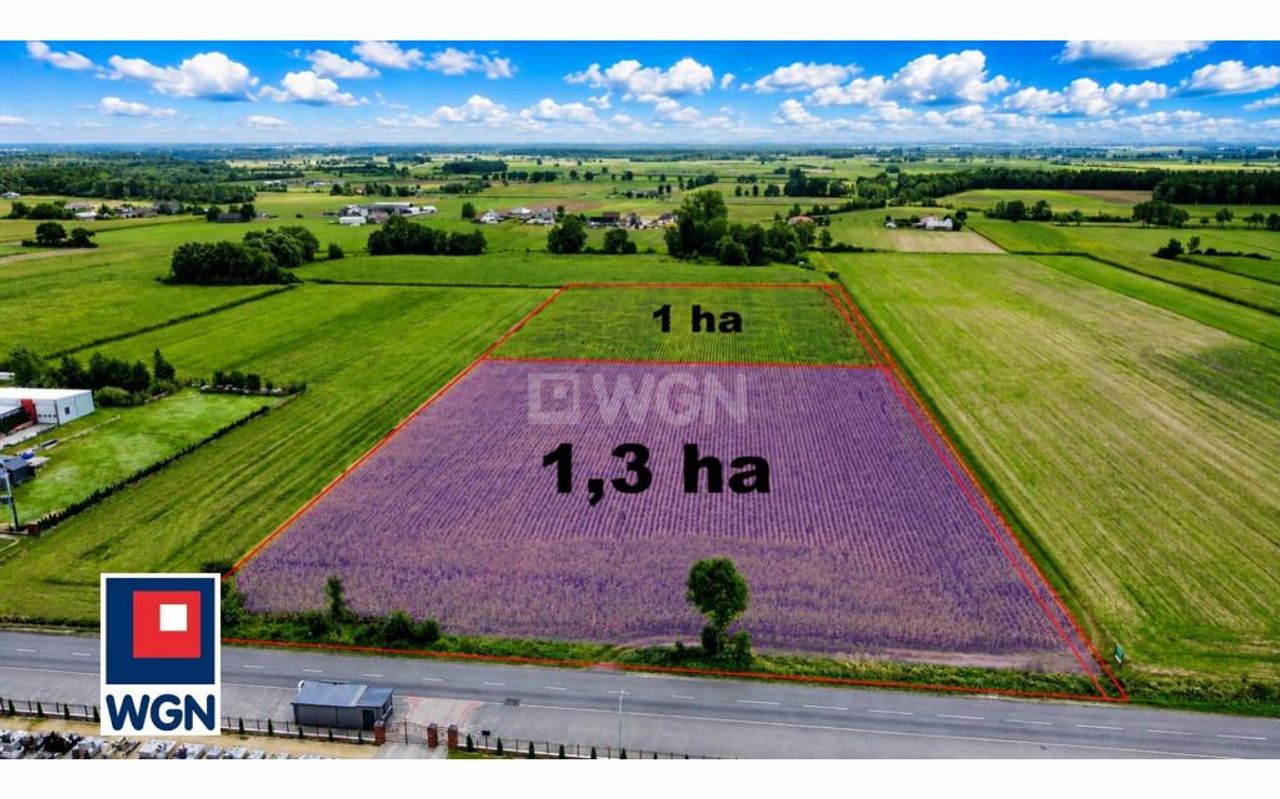 Zdjęcie 2