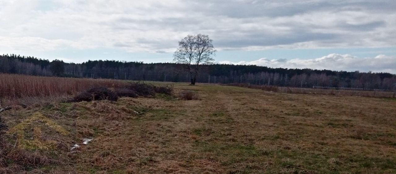 Działka na sprzedaż, Chrosna