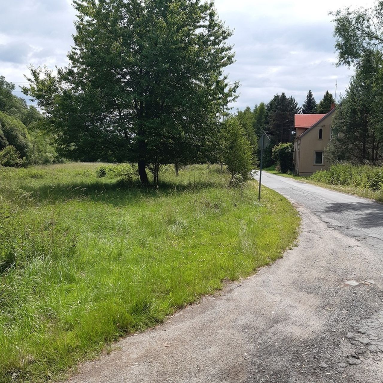 Zdjęcie 3