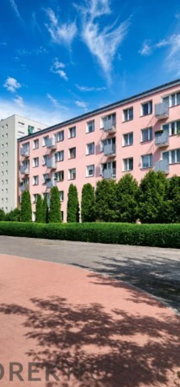 Zdjęcie 7