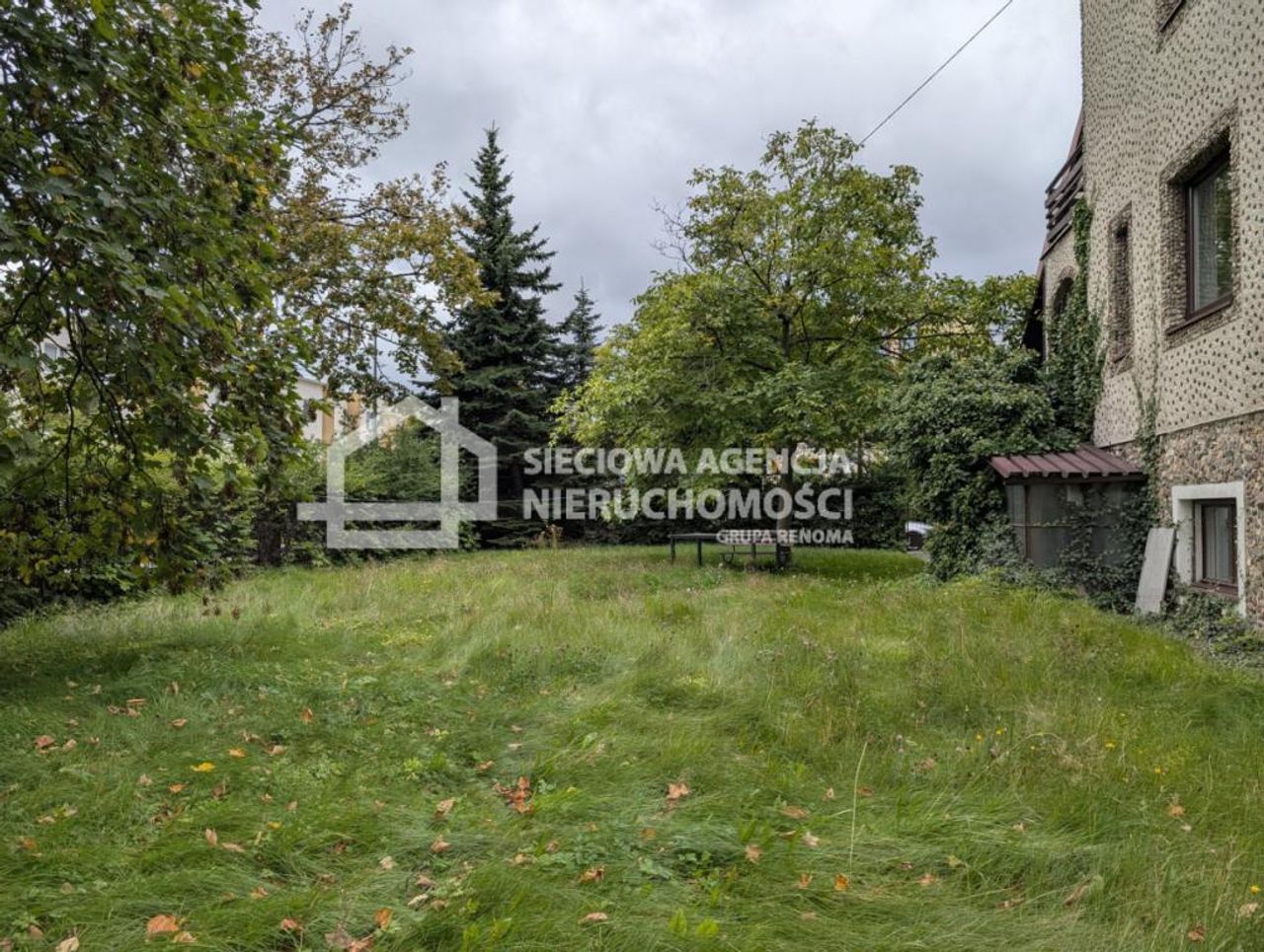 Zdjęcie 3