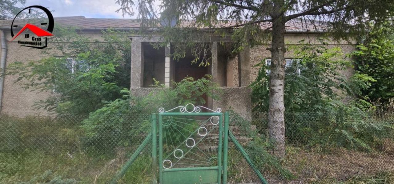 Zdjęcie 6