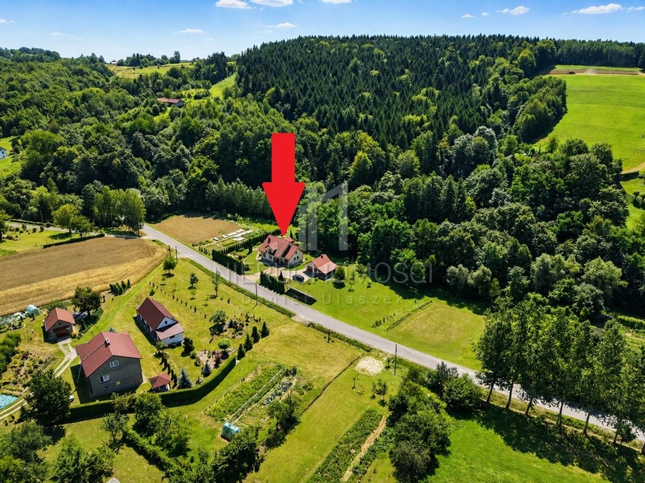 Zdjęcie 2