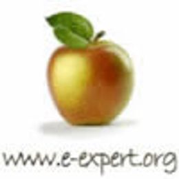 Logo - E-Expert Sprzedaż Nieruchomości