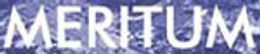 Logo - Meritum Nieruchomości Piaseczno