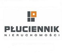 Logo - PŁUCIENNIK AGENCJA NIERUCHOMOŚCI