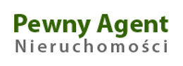 Logo - Pewny Agent