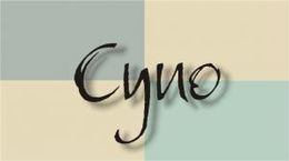 Logo - Cyno Wynajem Nieruchomości