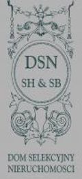 Logo - DSN Dom Selekcyjny Nieruchomości