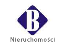 Logo - BANASIEWICZ NIERUCHOMOŚCI