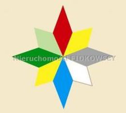 Logo - NIERUCHOMOŚCI FIDKOWSCY