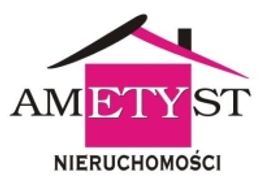 Logo - AMETYST