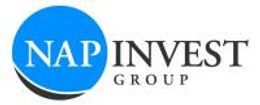 Logo - NAP Invest Niemcewicza