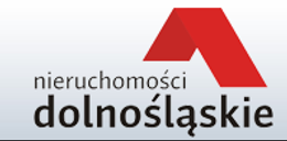 Logo - NIERUCHOMOŚCI DOLNOŚLĄSKIE