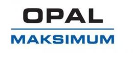 Logo - Maksimum Sp. z o.o. Holding S.K.A