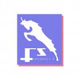 Logo - FS HOLDING S.A.