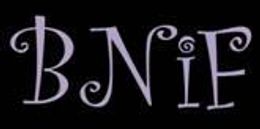 Logo - Biuro Nieruchomości i Finansów Sp. z o.o.