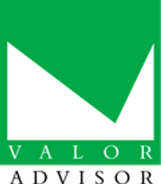 Logo - VALOR ADVISOR Zdzisława Ledzion-Trojanowska