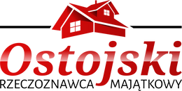 Logo - Tomasz Ostojski Tomidom