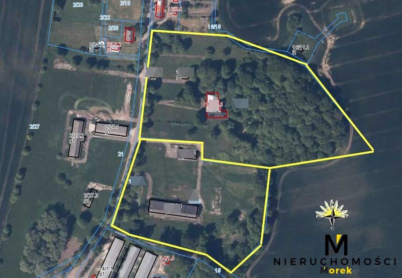 Zdjęcie planów ogłoszenia